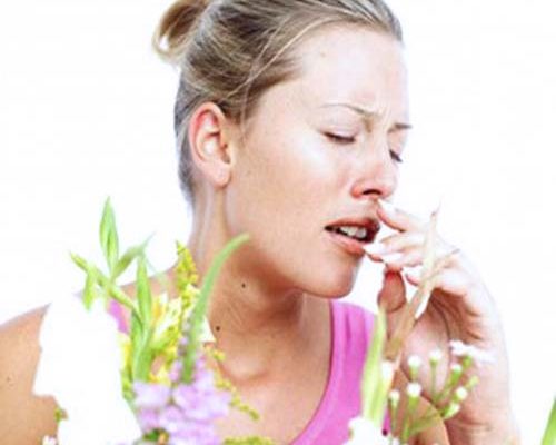 allergy, pivo, Olimpiyskiy